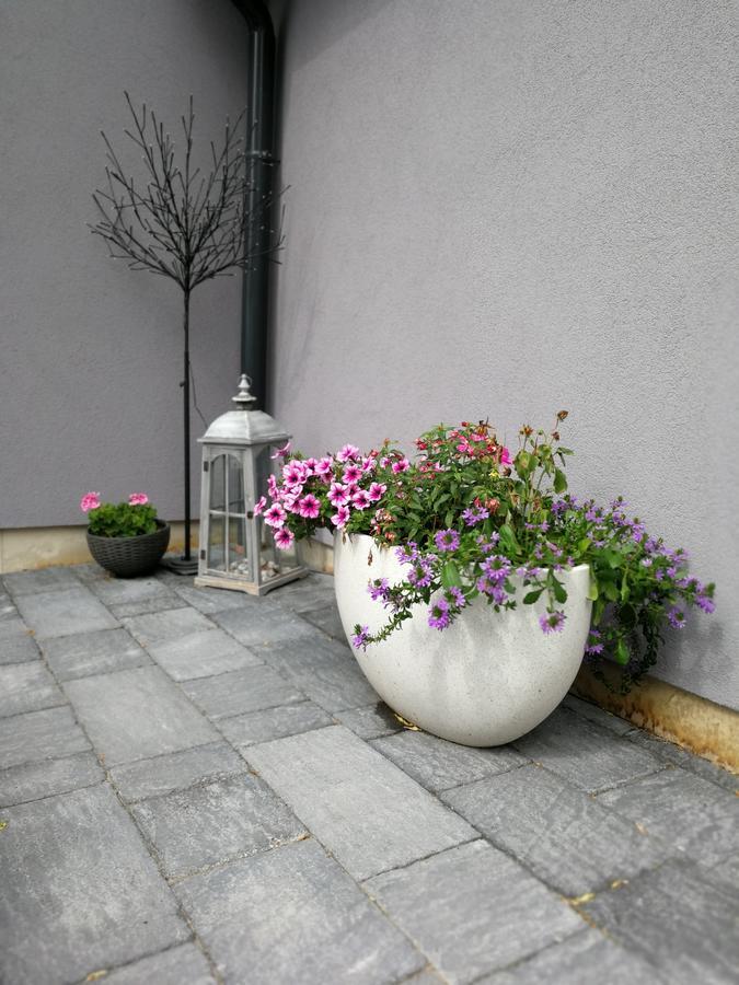 Zsinko Villa Pecs Exterior photo